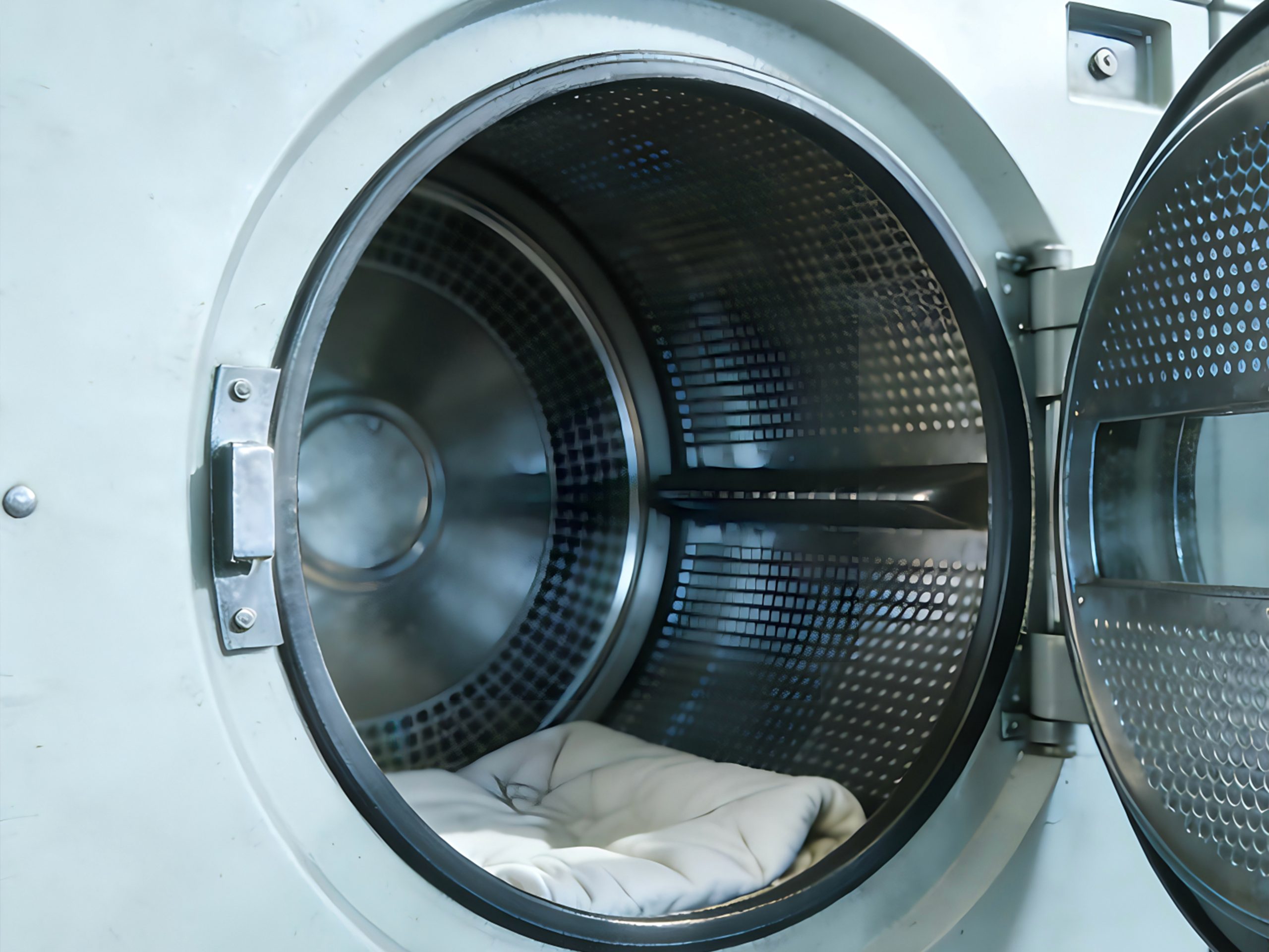 5. Washing scaled