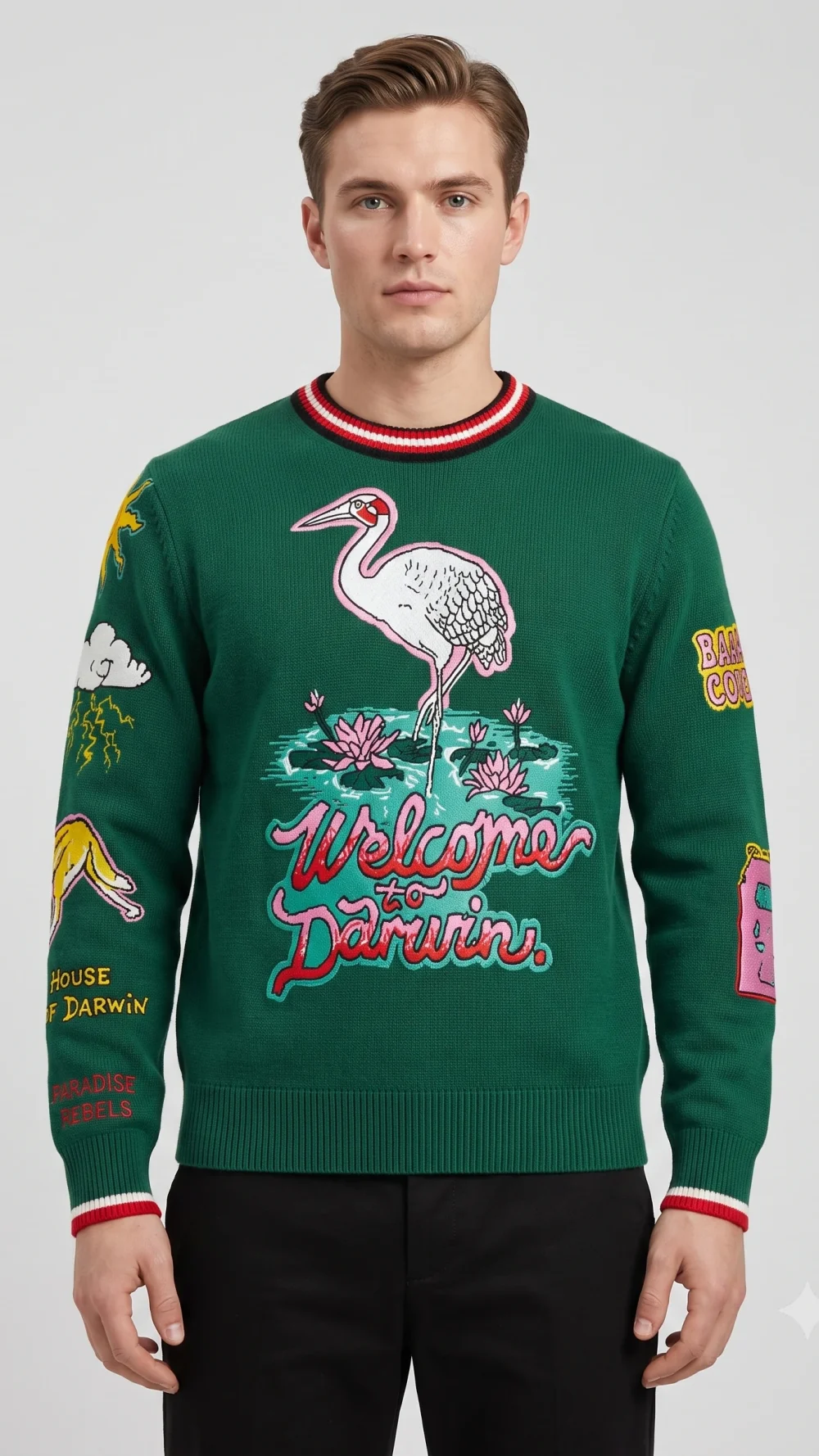 Men’s Tropical Flamingo Jacquard Pullover